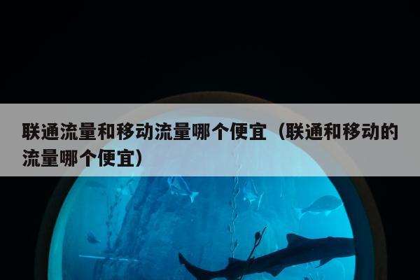 联通流量和移动流量哪个便宜（联通和移动的流量哪个便宜）