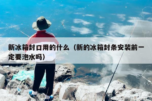 新冰箱封口用的什么（新的冰箱封条安装前一定要泡水吗）