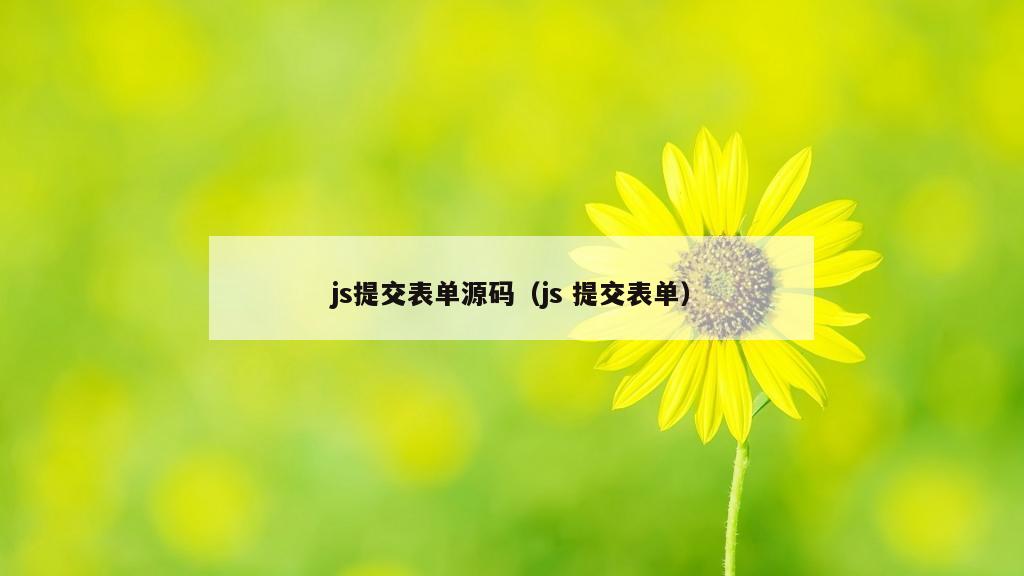 js提交表单源码（js 提交表单）