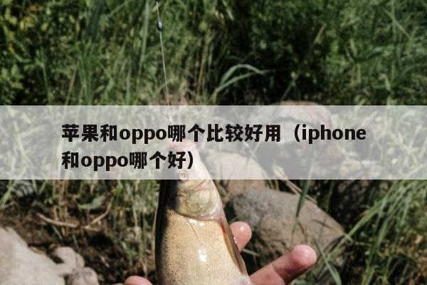 苹果和oppo哪个比较好用（iphone和oppo哪个好）