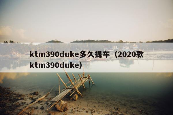 ktm390duke多久提车（2020款ktm390duke）