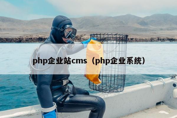 php企业站cms（php企业系统）