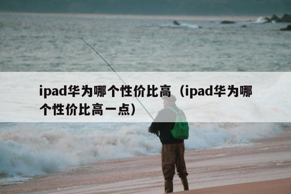 ipad华为哪个性价比高（ipad华为哪个性价比高一点）