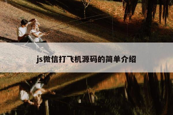 js微信打飞机源码的简单介绍