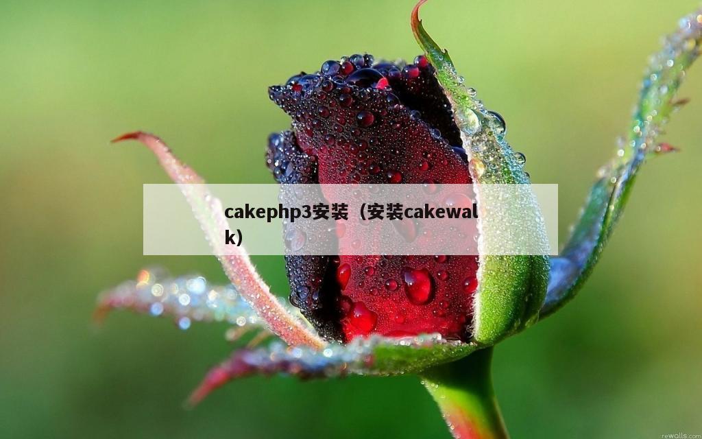 cakephp3安装（安装cakewalk）