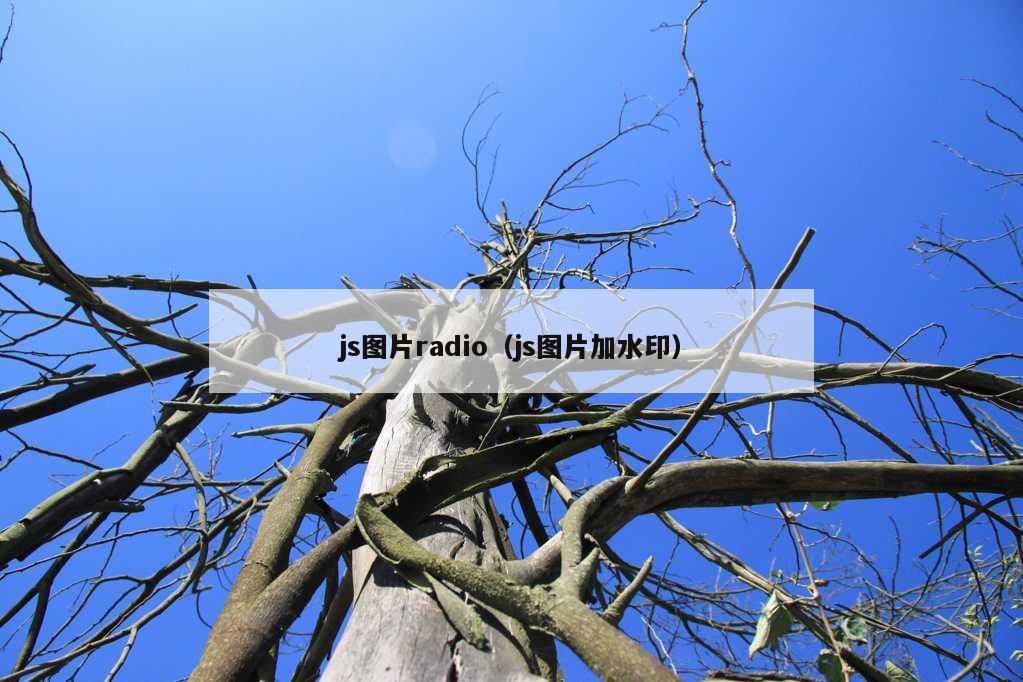 js图片radio（js图片加水印）