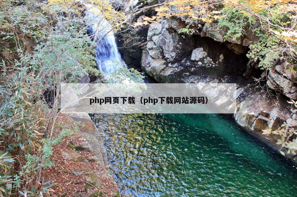 php网页下载（php下载网站源码）