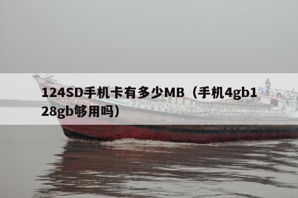 124SD手机卡有多少MB（手机4gb128gb够用吗）