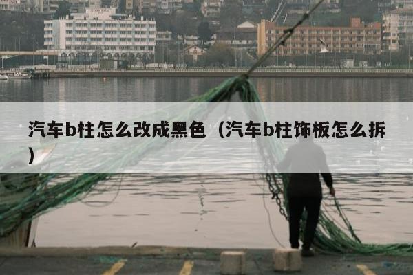 汽车b柱怎么改成黑色（汽车b柱饰板怎么拆）