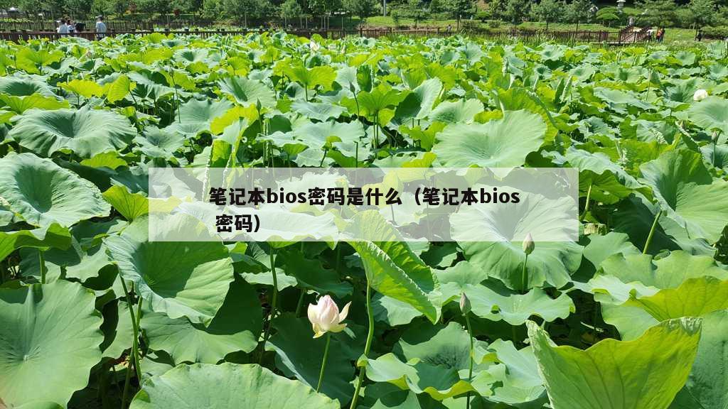 笔记本bios密码是什么（笔记本bios 密码）