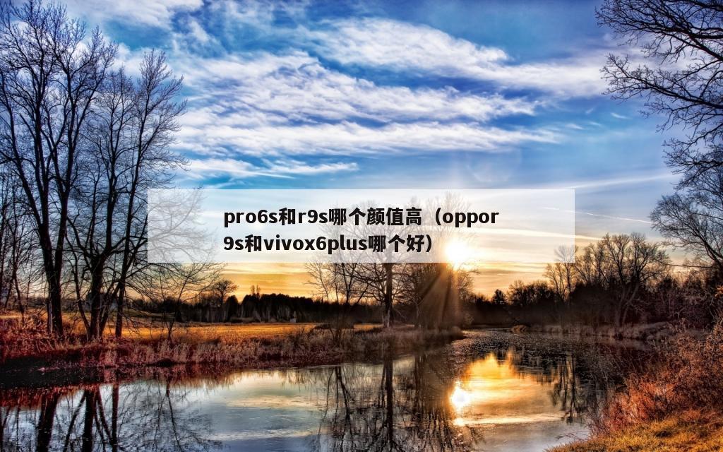 pro6s和r9s哪个颜值高（oppor9s和vivox6plus哪个好）