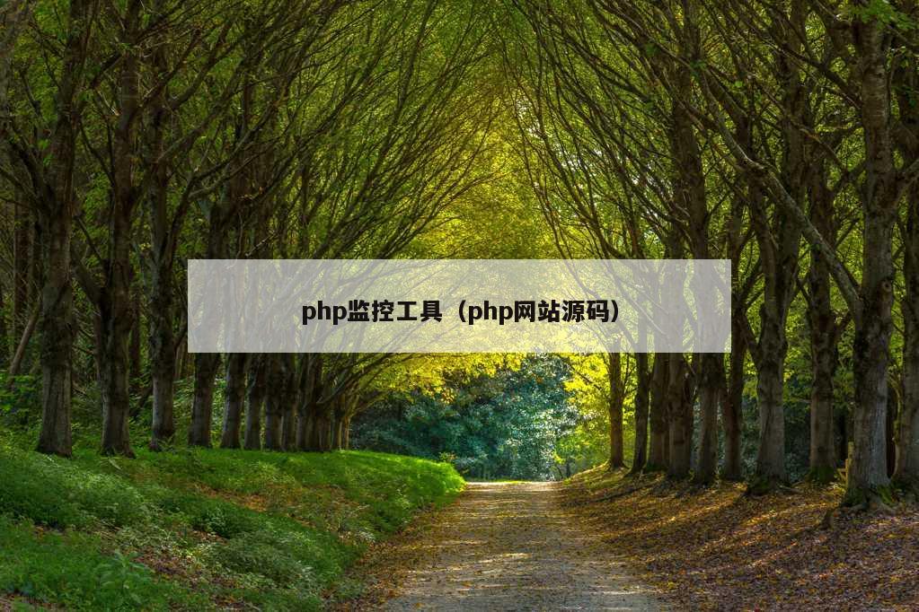 php监控工具（php网站源码）