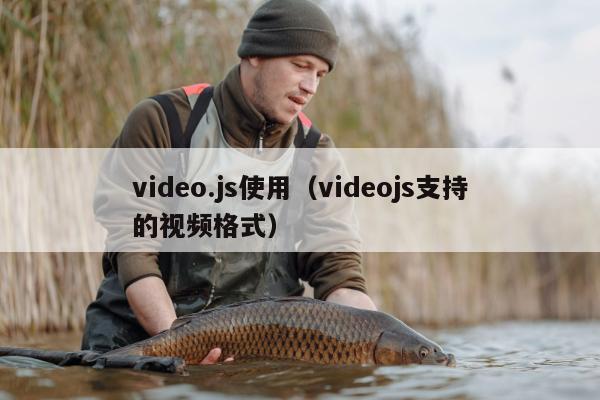 video.js使用（videojs支持的视频格式）