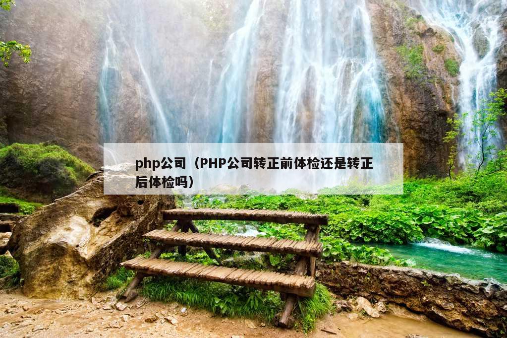 php公司（PHP公司转正前体检还是转正后体检吗）