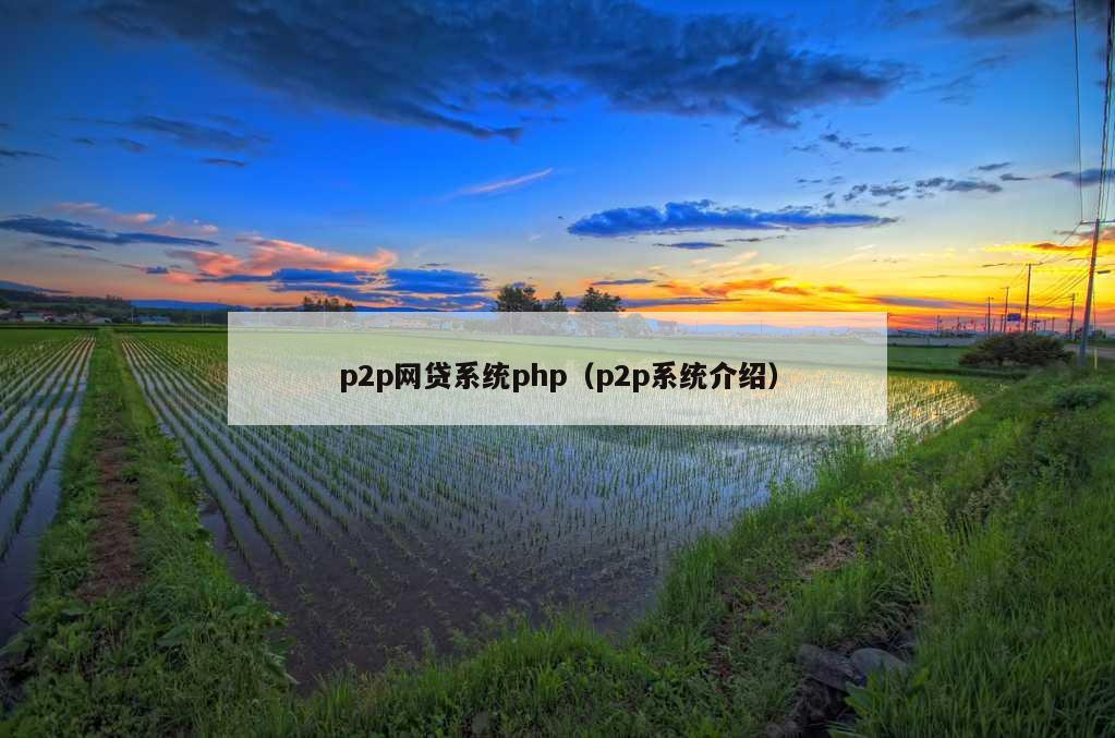 p2p网贷系统php（p2p系统介绍）