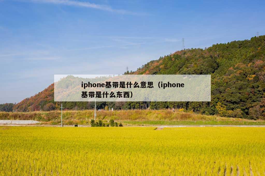 iphone基带是什么意思（iphone基带是什么东西）