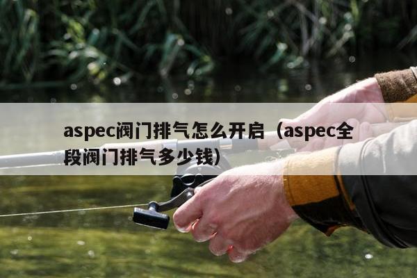 aspec阀门排气怎么开启（aspec全段阀门排气多少钱）