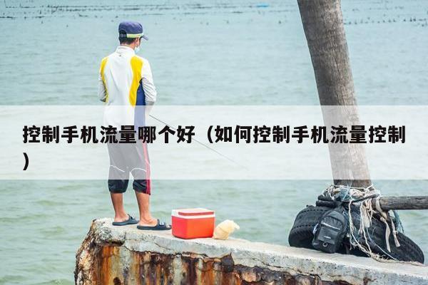 控制手机流量哪个好（如何控制手机流量控制）