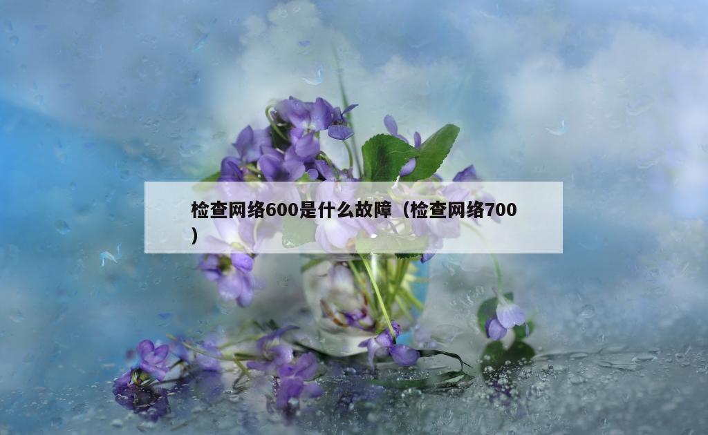 检查网络600是什么故障（检查网络700）