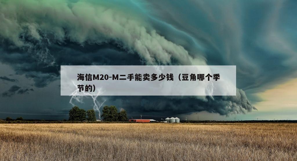 海信M20-M二手能卖多少钱（豆角哪个季节的）