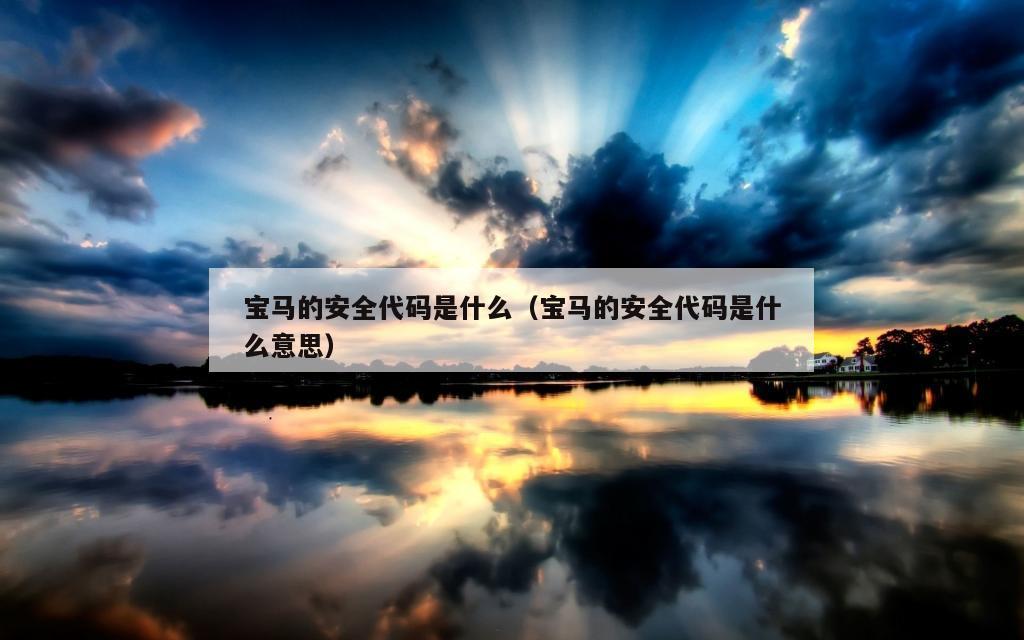 宝马的安全代码是什么（宝马的安全代码是什么意思）