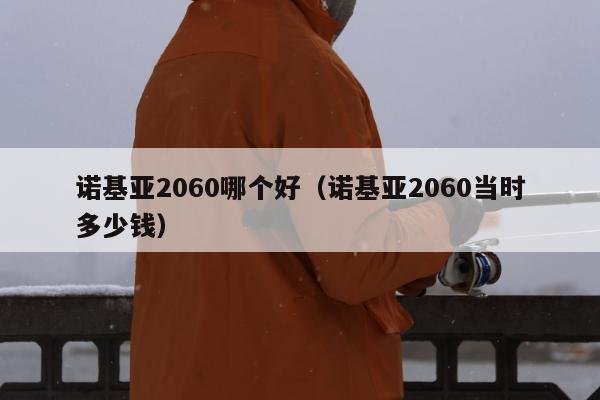 诺基亚2060哪个好（诺基亚2060当时多少钱）