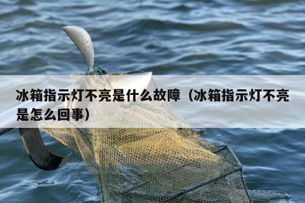 冰箱指示灯不亮是什么故障（冰箱指示灯不亮是怎么回事）