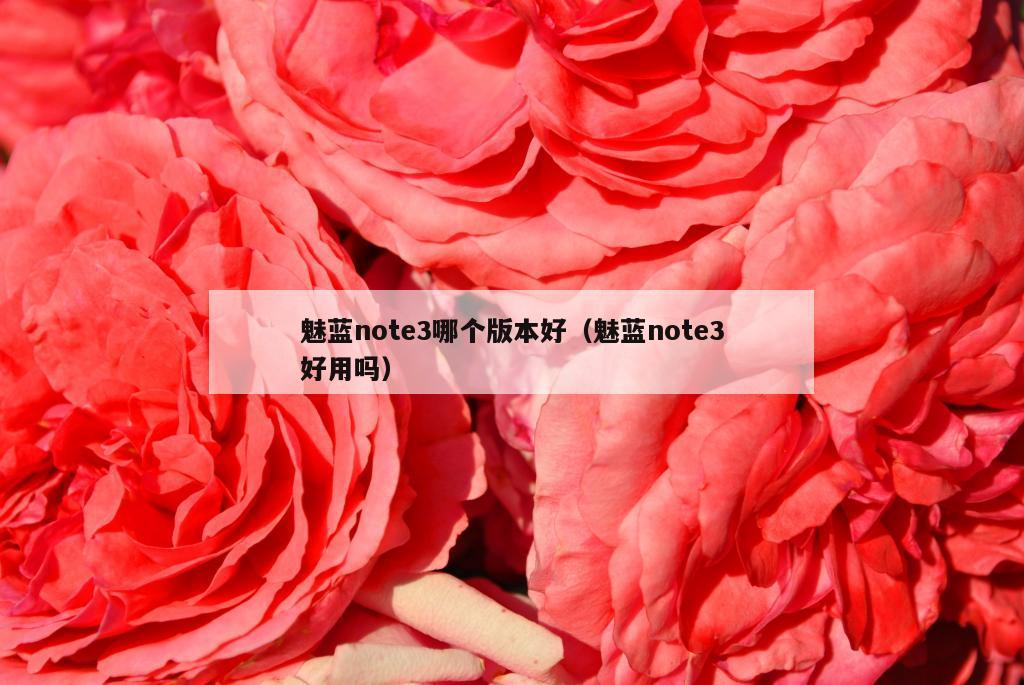 魅蓝note3哪个版本好（魅蓝note3好用吗）