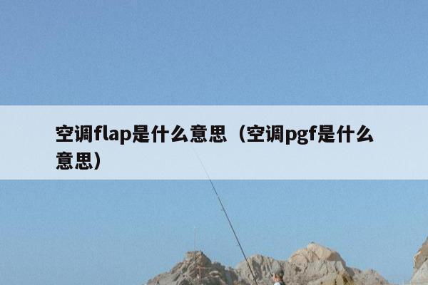 空调flap是什么意思（空调pgf是什么意思）