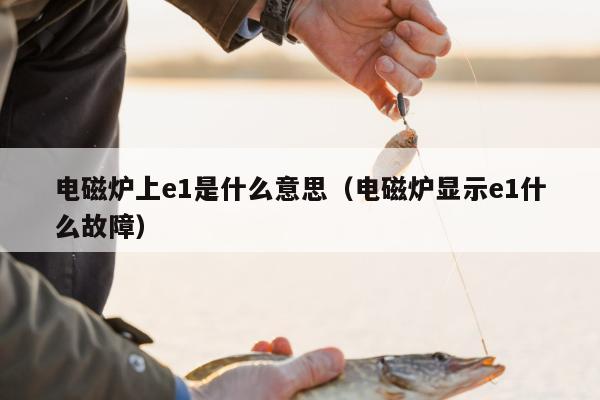 电磁炉上e1是什么意思（电磁炉显示e1什么故障）