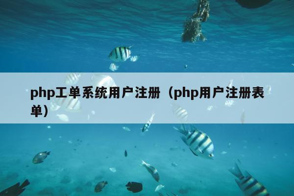 php工单系统用户注册（php用户注册表单）