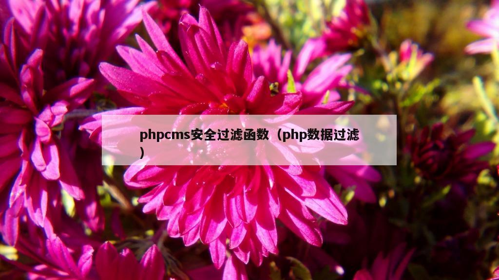 phpcms安全过滤函数（php数据过滤）