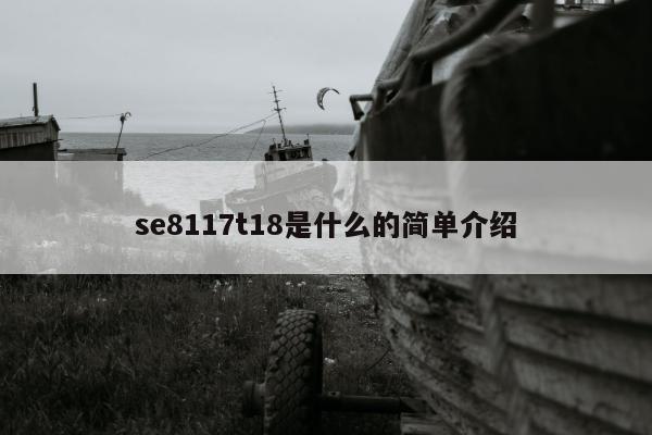 se8117t18是什么的简单介绍