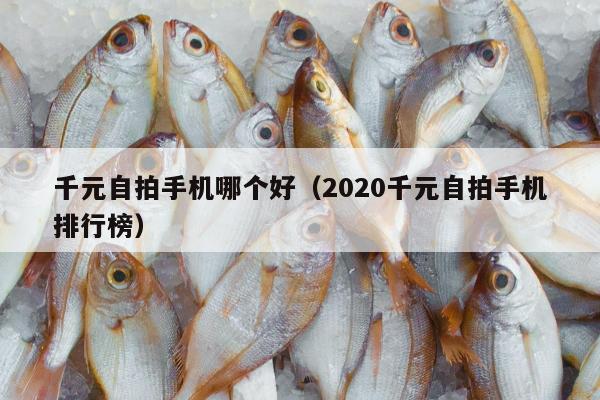 千元自拍手机哪个好（2020千元自拍手机排行榜）