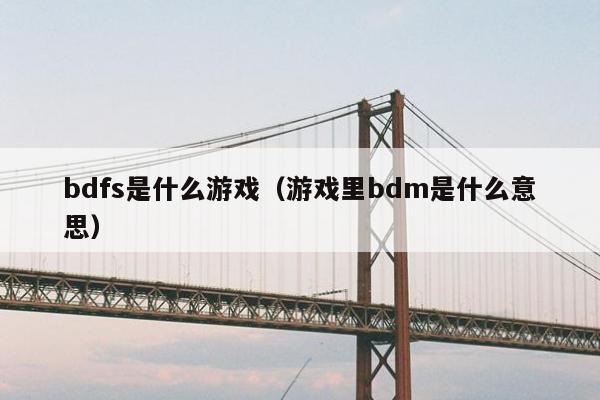 bdfs是什么游戏（游戏里bdm是什么意思）