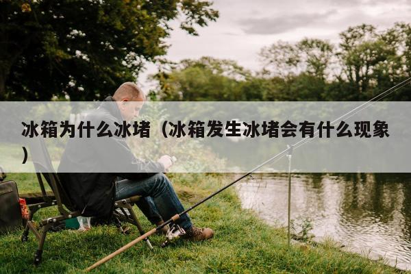 冰箱为什么冰堵（冰箱发生冰堵会有什么现象）