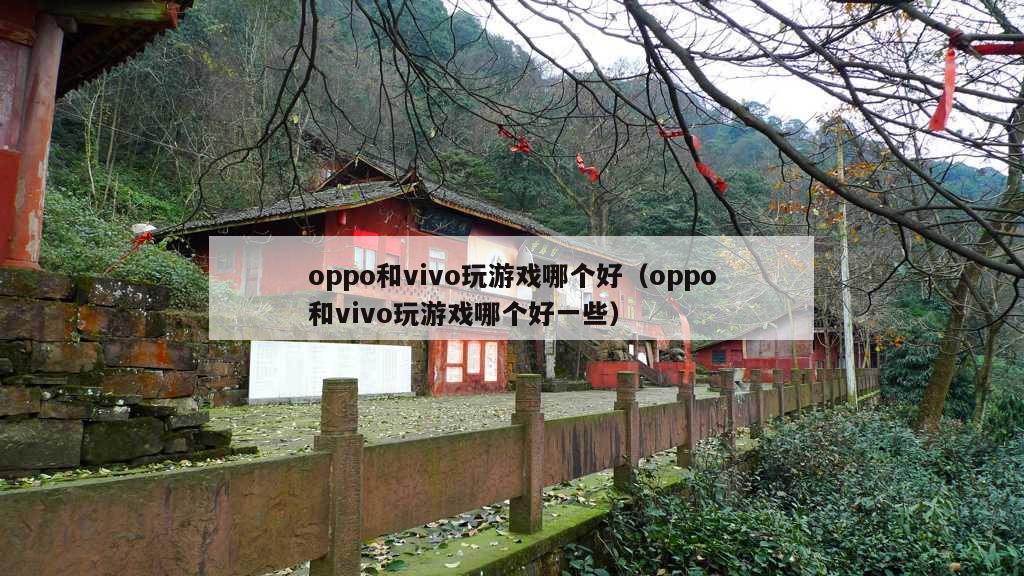 oppo和vivo玩游戏哪个好（oppo和vivo玩游戏哪个好一些）