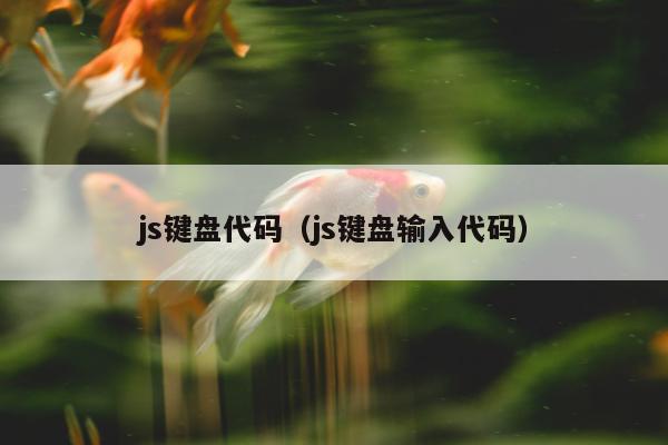 js键盘代码（js键盘输入代码）