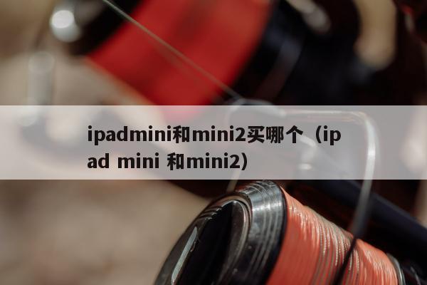 ipadmini和mini2买哪个（ipad mini 和mini2）