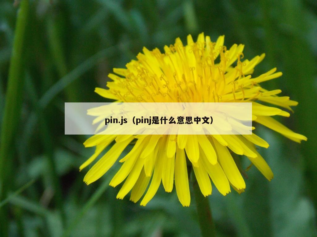 pin.js（pinj是什么意思中文）