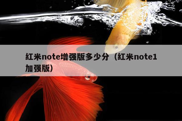 红米note增强版多少分（红米note1加强版）