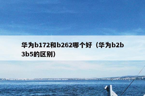 华为b172和b262哪个好（华为b2b3b5的区别）