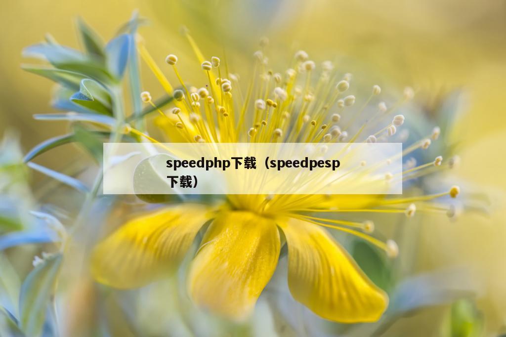 speedphp下载（speedpesp下载）