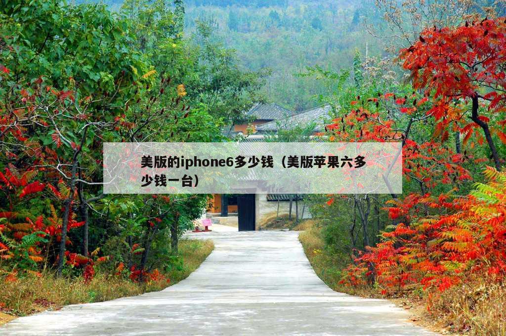 美版的iphone6多少钱（美版苹果六多少钱一台）