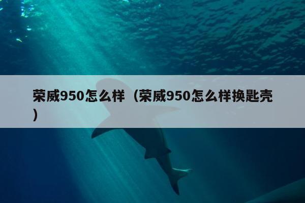 荣威950怎么样（荣威950怎么样换匙壳）