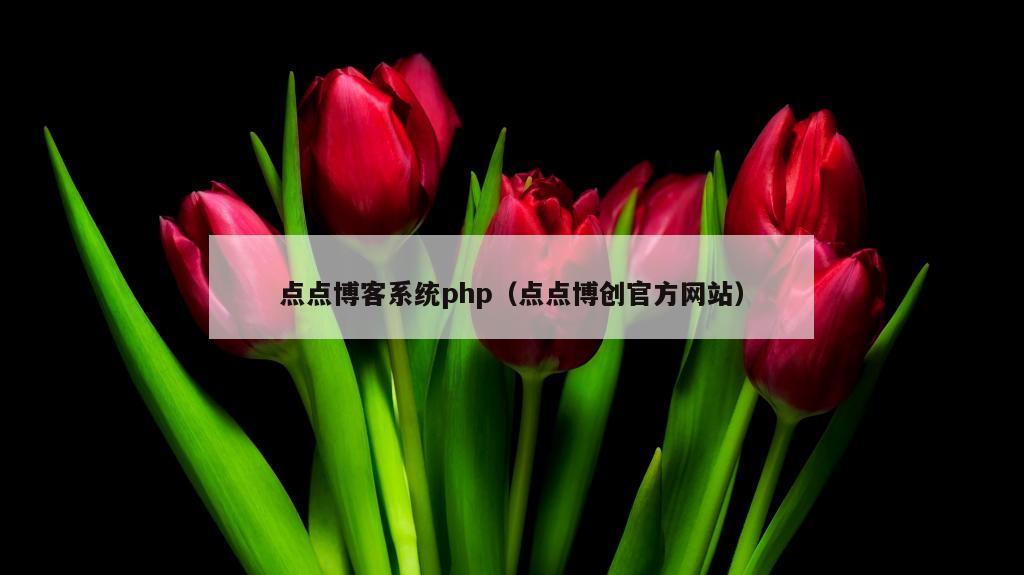 点点博客系统php（点点博创官方网站）