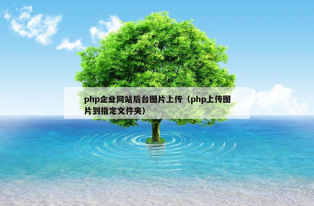 php企业网站后台图片上传（php上传图片到指定文件夹）