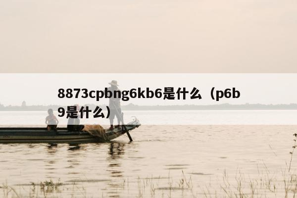 8873cpbng6kb6是什么（p6b9是什么）