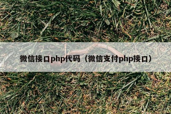 微信接口php代码（微信支付php接口）