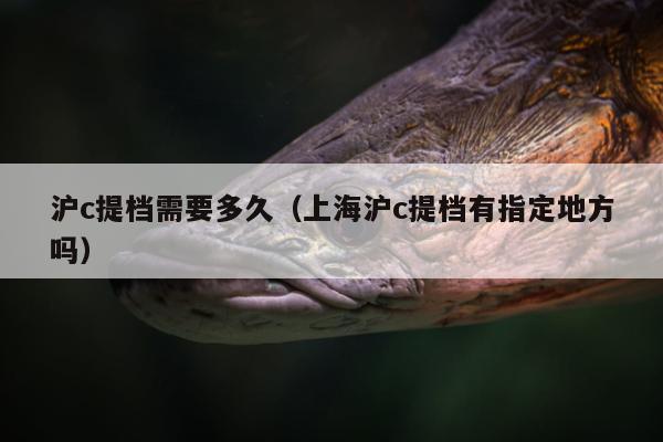 沪c提档需要多久（上海沪c提档有指定地方吗）